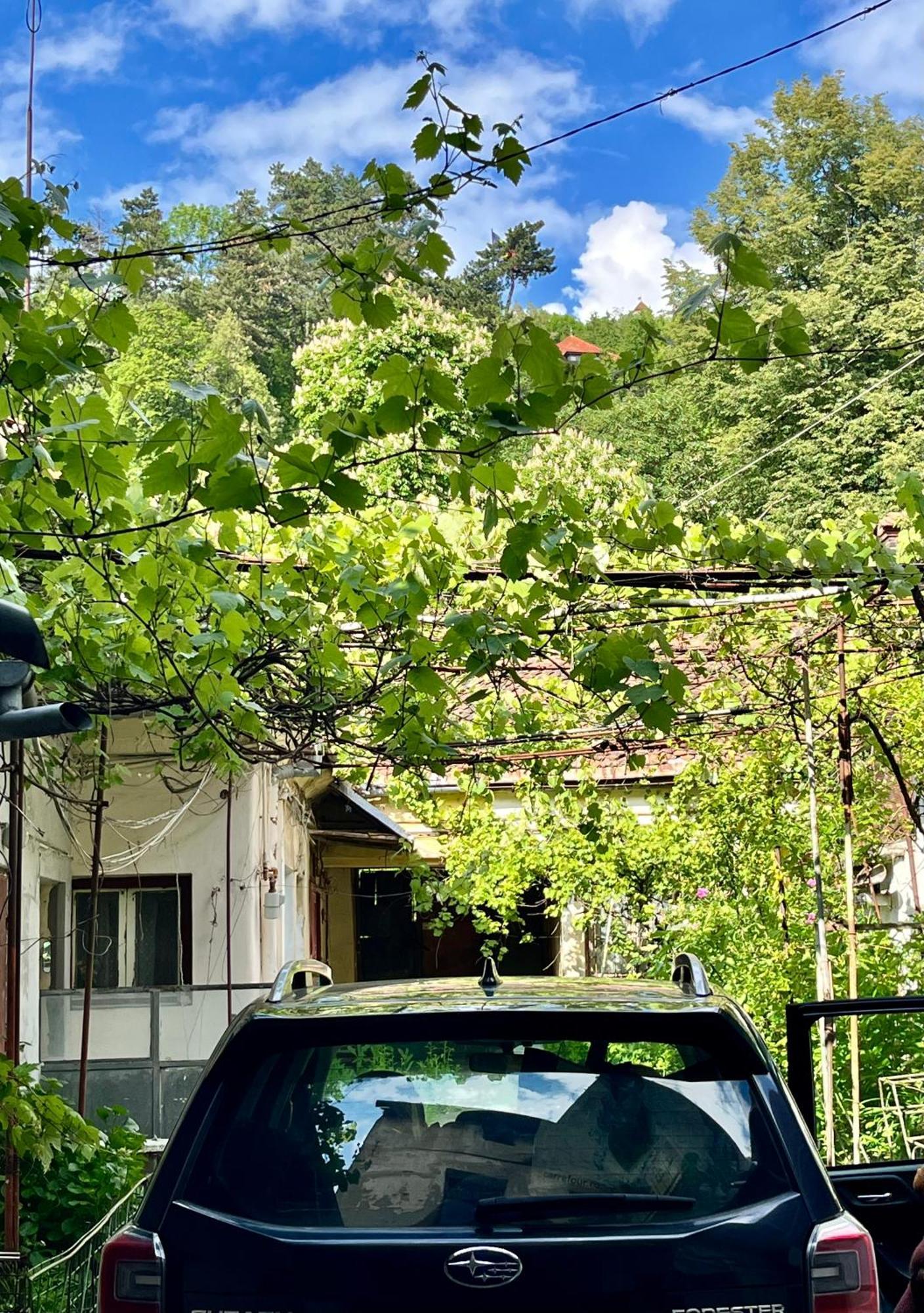 Casa Ming Vila Braşov Exterior foto