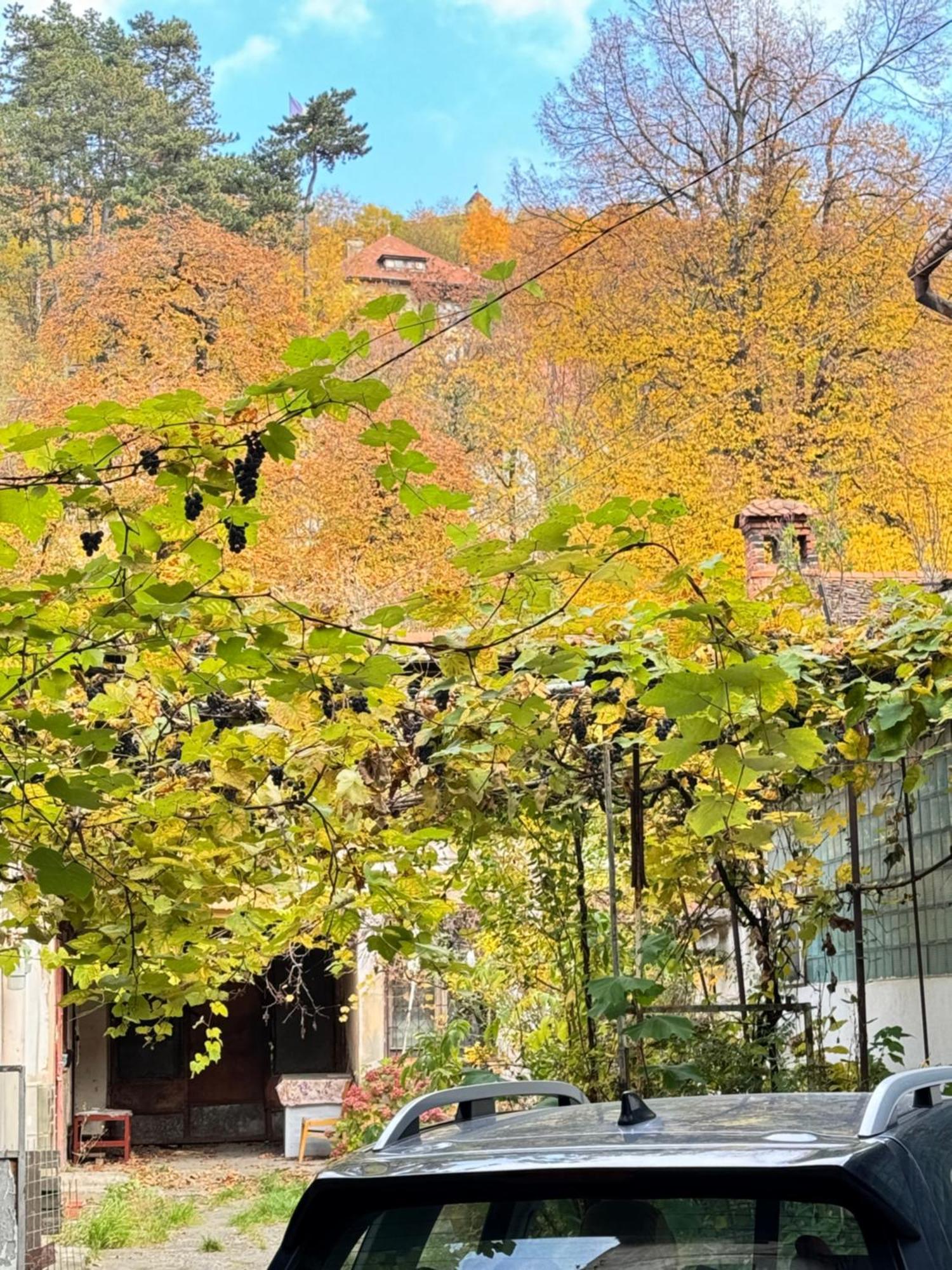 Casa Ming Vila Braşov Exterior foto