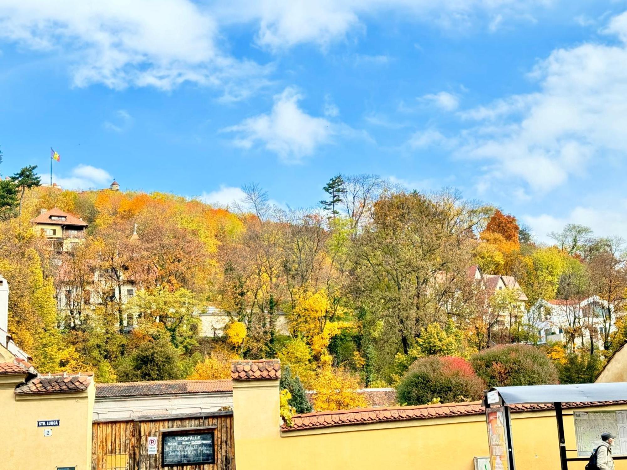 Casa Ming Vila Braşov Exterior foto